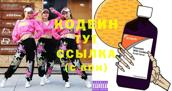 молекула духа Няндома
