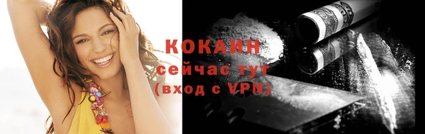 сатива Нягань