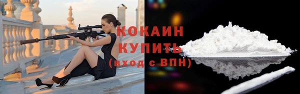 молекула духа Няндома