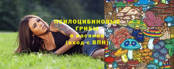 молекула духа Няндома