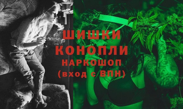 сатива Нягань