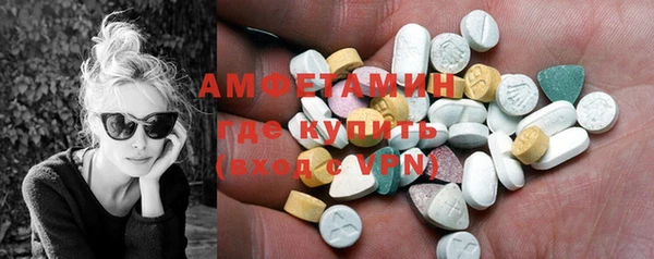 молекула духа Няндома