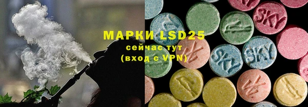 молекула духа Няндома