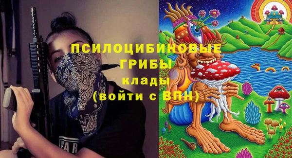 mdpv Осинники