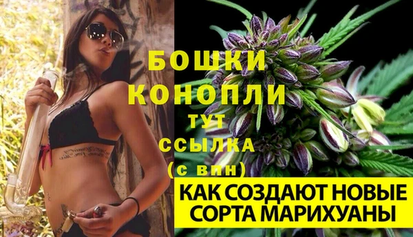 сатива Нягань
